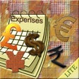 ไอคอนของโปรแกรม: Monthly Expenses Lite