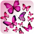 Icon of program: Butterfly Wallpaper