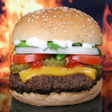 プログラムのアイコン：Homemade Burger Recipes