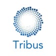 Icono de programa: Tribus Team