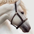 Programın simgesi: Horse Wallpaper HD : back…