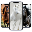 Programın simgesi: Horse Wallpaper HD : back…