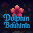 Dolphin of Bauhinia icon