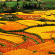 プログラムのアイコン：Geographic Jigsaw Puzzles