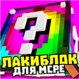 Icon of program: Мод лаки блоки и лаки гон…