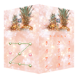 プログラムのアイコン：AppLock Theme Pineapple