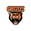 Icon of program: Grizzlys Wolfsburg