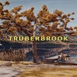 프로그램 아이콘: Trüberbrook