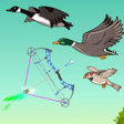 程序图标：Duck hunt - Bird hunting