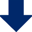 Icon of program: MV2 Download Manager