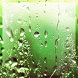 أيقونة البرنامج: Rain Appling Live Wallpap…