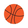 Next Level Basketball Series icon