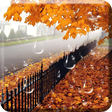 プログラムのアイコン：Maple Droplets Live Wallp…