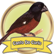 Ícone do programa: Curió Praia Clássico Cant…