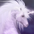 Icon of program: Unicorn Wallpaper
