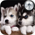 プログラムのアイコン：Siberian Husky Lock Scree…