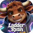Icoon van programma: Ladder Rush