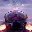 프로그램 아이콘: Project Wingman: Frontlin…