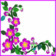 Иконка программы: Border Design