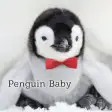 Penguin Baby wallpaper