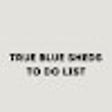 TRUE BLUE SHEDS To Do List