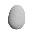 lay an egg