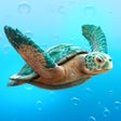 Ícone do programa: WikiTurtle