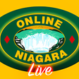 程序图标: Niagara Live