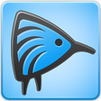 Kiwi Music Player icon
