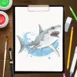 Sharks Drawing  Coloring Book