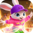 程序图标：MineFlashrig
