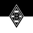 程序图标：FohlenApp