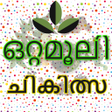 プログラムのアイコン：Malayalam Ottamooli Podik…