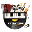 程序图标：Radiouri Muzică Petrecere