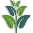 Icon of program: Xikmado