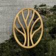 Icône du programme : Trinity Fellowship Church