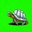 Icon of program: Tortuga Website Slower
