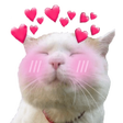 Ikona programu: WAStickers Memes Love
