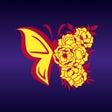 プログラムのアイコン：HD Cool Wallpapers for iP…