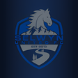 程序图标：Selwyn United Football Cl…