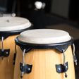 Icon of program: Bongo Drum Sounds