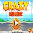 程序图标：Crazy Runner Bk