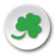 プログラムのアイコン：The Shamrock Dish