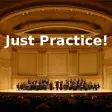 Just Practice