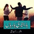 程序图标：Yara Teri Yaari