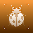 Icon of program: Insect ID - Insect identi…