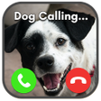 أيقونة البرنامج: Fake Call Prank- Animals