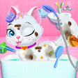 程序图标：Pet Vet Care Wash Feed An…