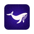 プログラムのアイコン：App for DeepSeek