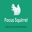 Icon of program: Focus Squirrel - Free Sit…